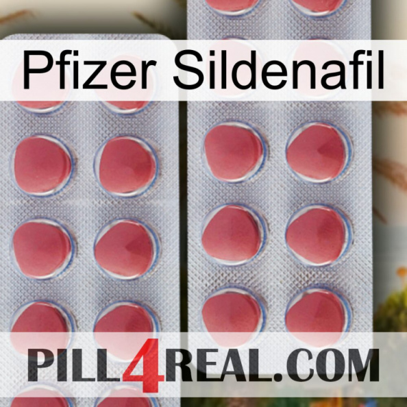 Pfizer Sildenafil 19.jpg